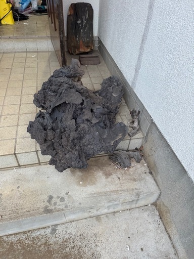 富士山の溶岩石現在採取不可能