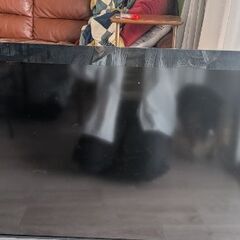 テレビ譲ります(無料)の画像