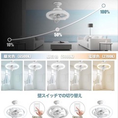 シーリングファンライト 天井扇風機 360°回転 首振り サーキュレーター 照明 8畳 小型 無段階調光調色 LED 天井照明の画像
