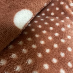 敷毛布  毛布   子供用毛布 膝掛け  99✖️155cm 化繊  茶色水玉柄の画像