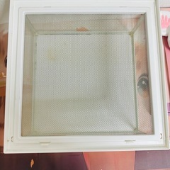 爬虫類　レオパ　ケースの画像