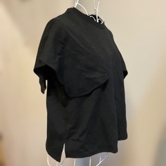 フェミニン　半袖カットソーの画像