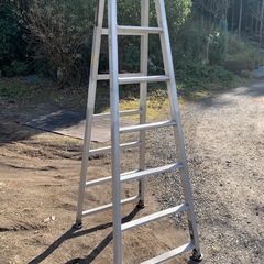ハシゴの画像