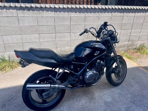バリオス1型 早もん勝ち❗️セール❗️