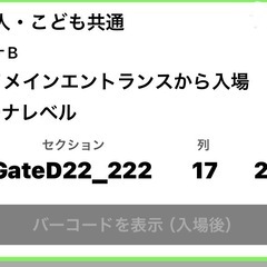 取引中  ゴールデンキングス 観戦チケット の画像