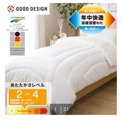 【無料】ニトリ 掛け布団（シングル）｜2024年6月購入｜引越し処分｜大塚駅の画像