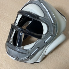 空手　防具　フェイスガードの画像