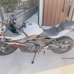 2019年　GSX 250r 自賠責ロングの画像