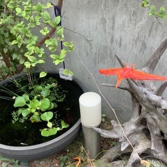 【商談中】恐竜おもちゃの画像