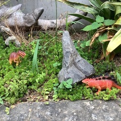 【商談中】恐竜おもちゃの画像