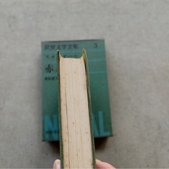 スタンダールの名作『赤と黒』　の画像