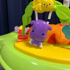 レインフォレスト・ジャンパルーの画像