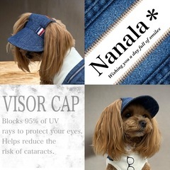 【正社員】未経験OKドッグアパレルブランド運営スタッフ 犬好き大歓迎の画像