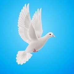 誰でも駆け込み寺 相談所