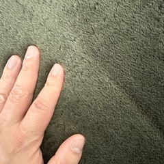 びっくりカーペット　極厚ラグ　グリーンの画像