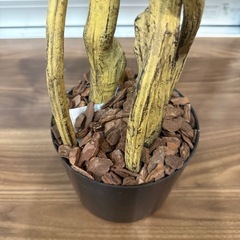 【お譲り先決定】ニトリ　フェイクグリーンの画像