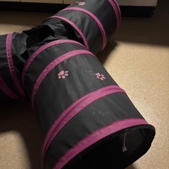 猫のおもちゃの画像