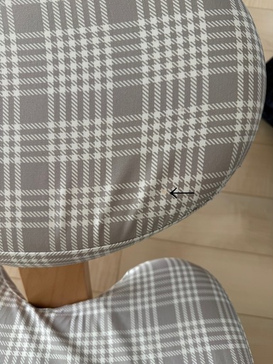 バランスイージー　正規品　カバー付き　ほぼ新品未使用