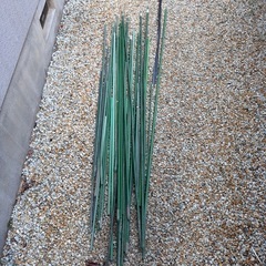 園芸支柱　30本以上の画像