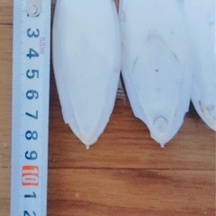 カトルボーン(イカの甲)35個入りの画像