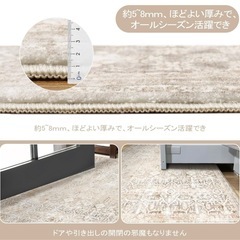 洗える　おしゃれ ラグ カーペットの画像