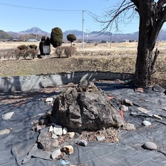 庭石差し上げます！買ったら高い！取りに来れる方限定！の画像