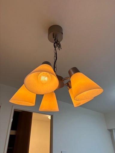 【美品】ACME Furniture LEO PENDANT LAMP
