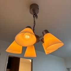 【美品】ACME Furniture LEO PENDANT LAMPの画像