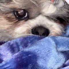 お友達募集〜です(*^^*)