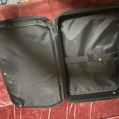 バレンチノ　サバティーニの画像