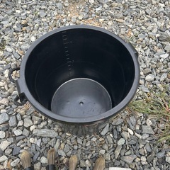 バケツ🪣とブラシの画像