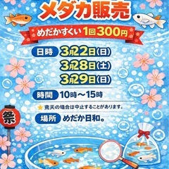 メダカすくい&めだか販売