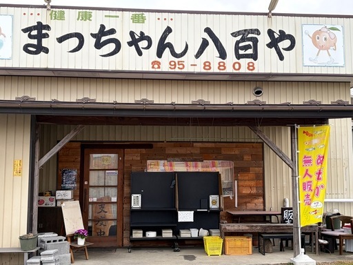 改良メダカ
