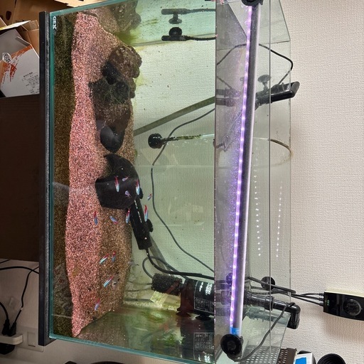 商談中【熱帯魚】60cm水槽含め備品全部セット