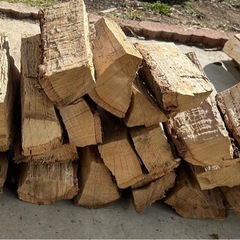 広葉樹針葉樹ミックス　短めの薪の画像