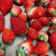 ジャム用いちごの画像