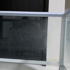 パンテオン　WH6035の画像