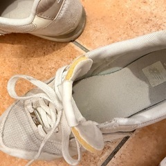 ニューバランス 24.5の画像