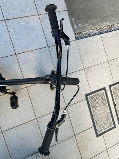 子供 キッズ 自転車 ダーカスワン BMX ストライダー