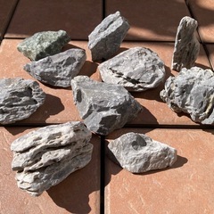 青龍石、アクアリウム、熱帯魚の画像