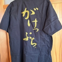 Tシャツ東尋坊がけっぷちMサイズの画像