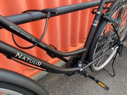 エンドウ　26インチ自転車　NATTTR