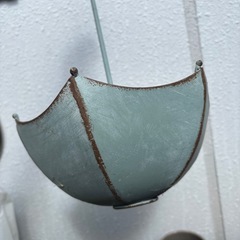 鉢植え　プランターの画像