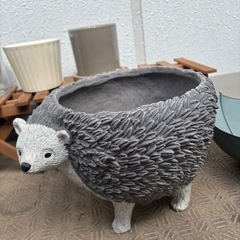 鉢植え　プランターの画像