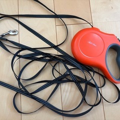 伸縮リードの画像