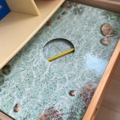 ディズニー英語システムの画像