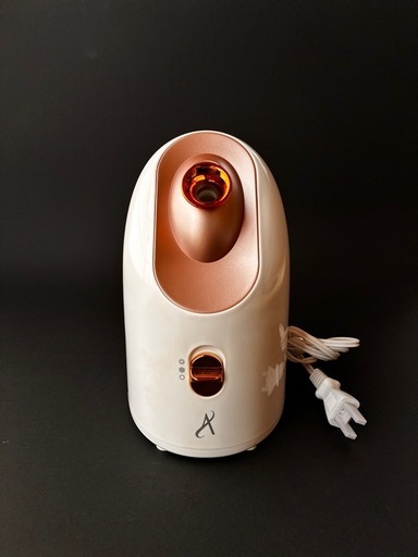 アムウェイ アーティストリー フェイシャルスチーマー（美顔器）2020年