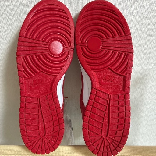 NIKEダンクLOW SP【赤】