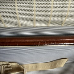 (受け渡し決定しました)キャリーバック の画像