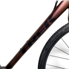 【TREK】ALR5 CHECKPOINT ALR5【52サイズ 】の画像